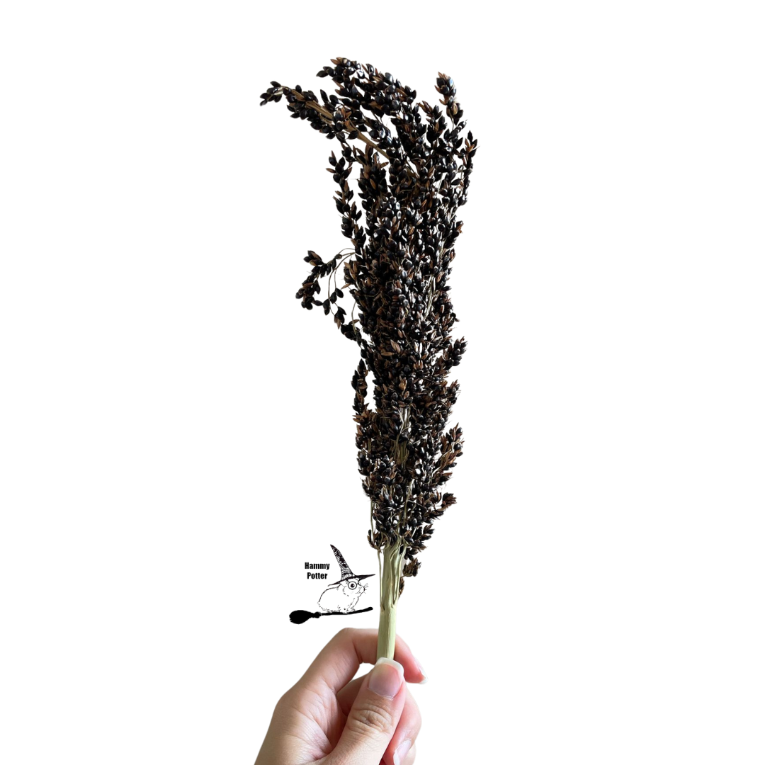 German sorghum sprays