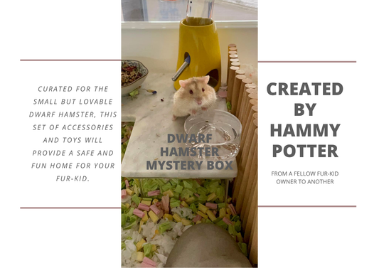 Hammy Potter mystery box for hamsters and other small pets