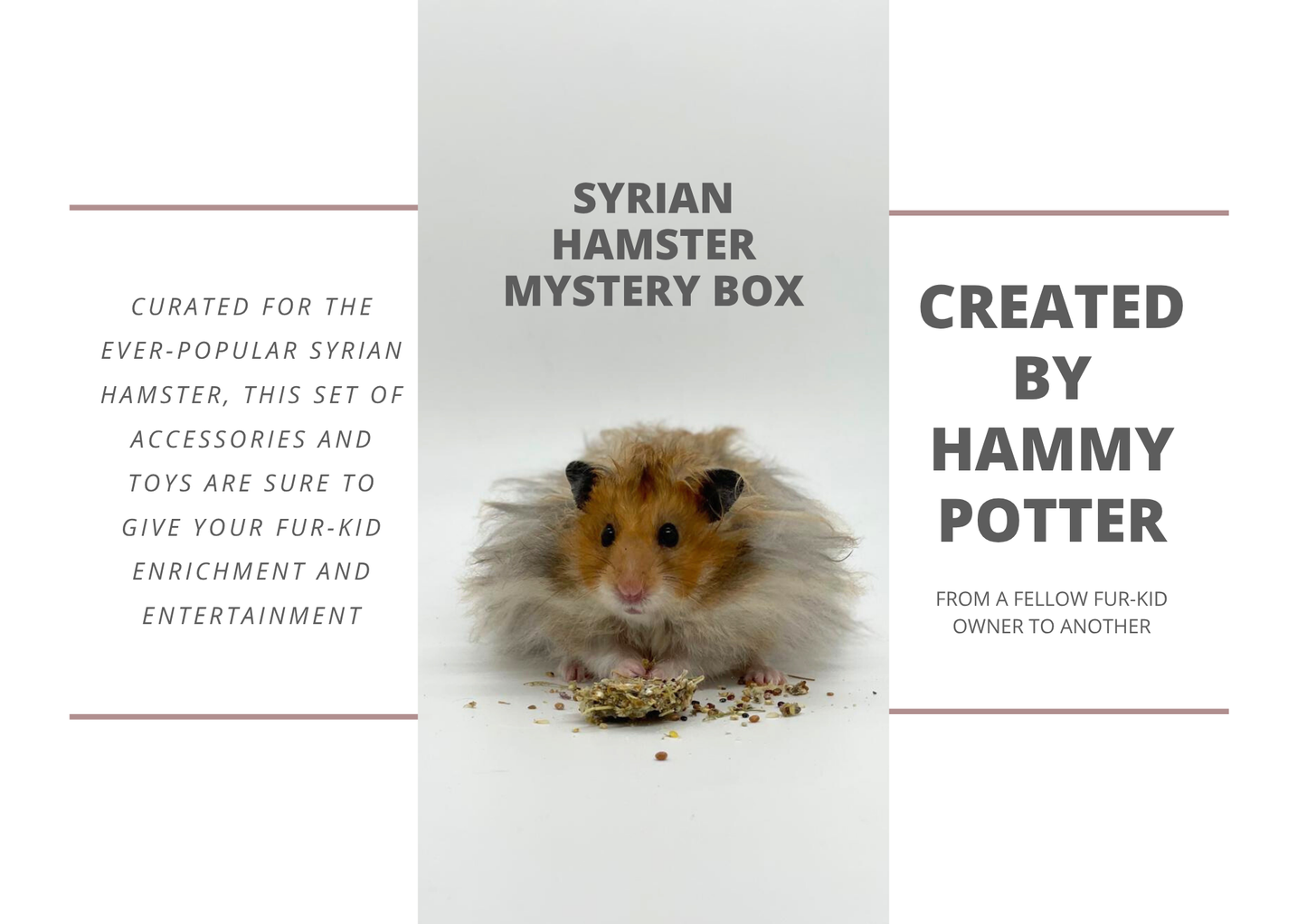 Hammy Potter mystery box for hamsters and other small pets
