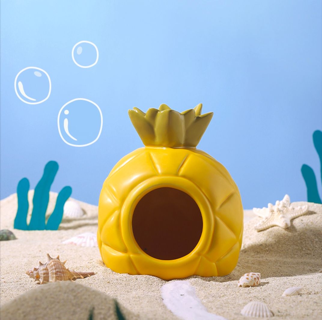 Ceramic pineapple house