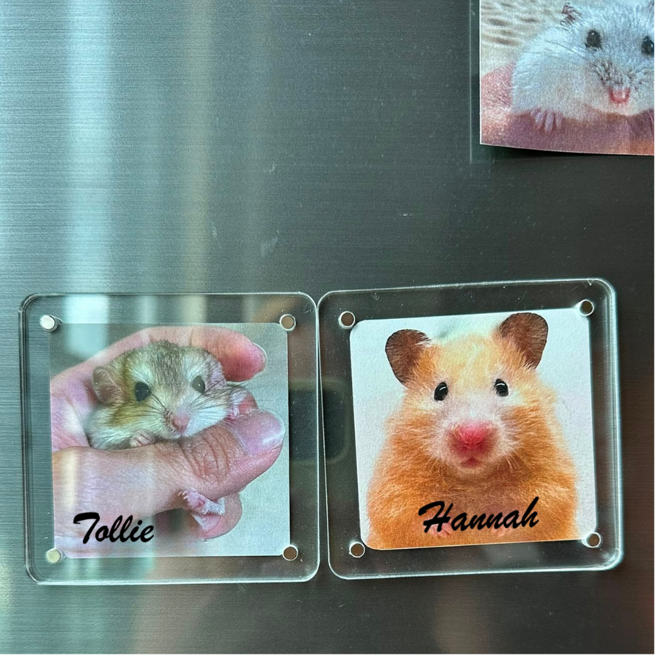[LHRS Pre-order] Magnetic Photo Frames