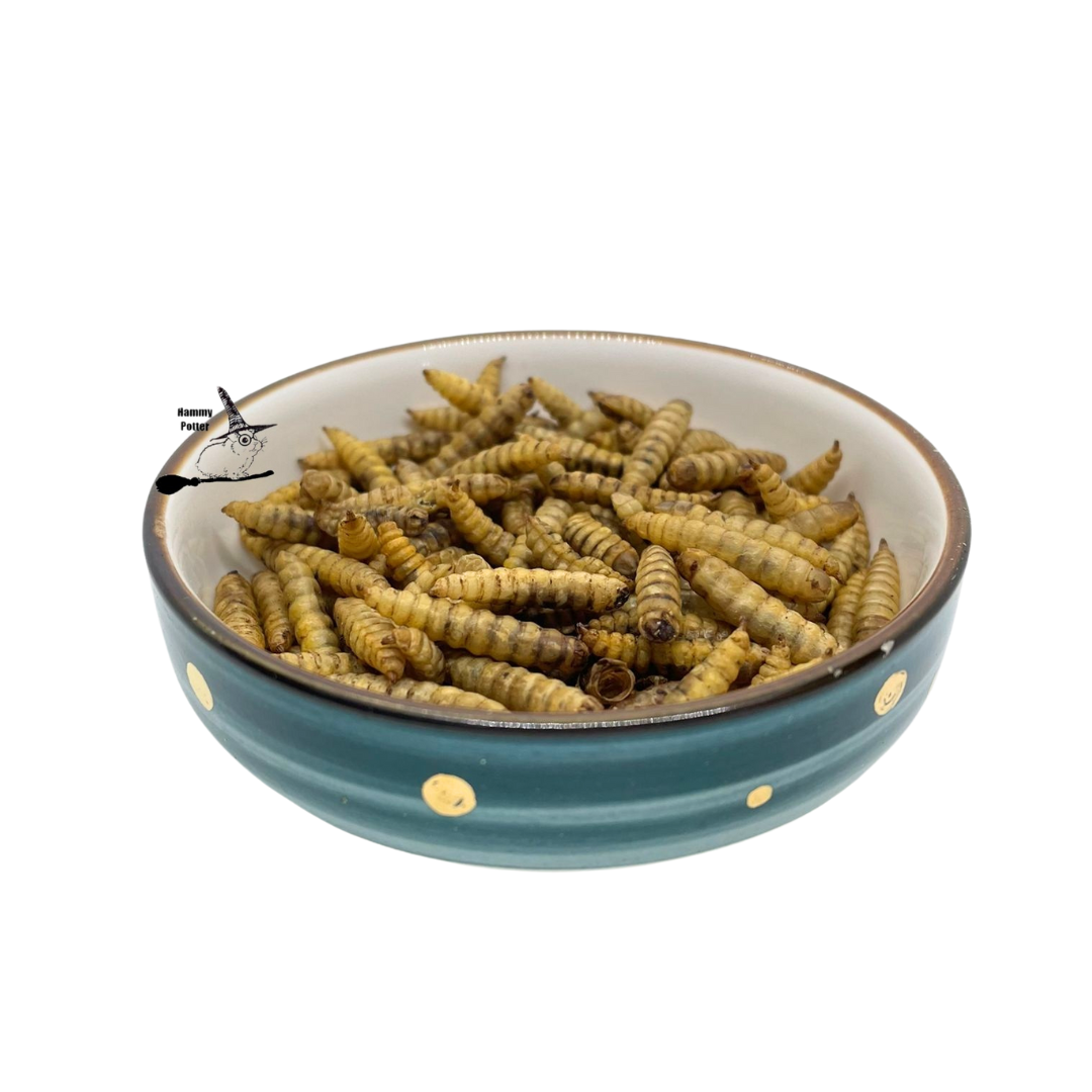 Dried black soldier fly larvae