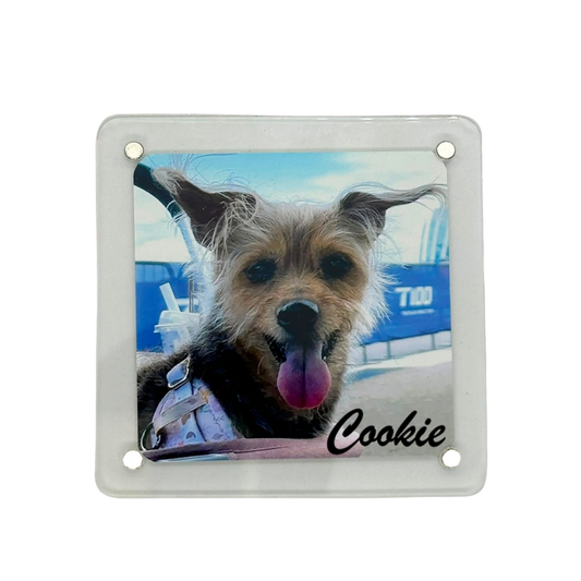 [LHRS Pre-order] Magnetic Photo Frames