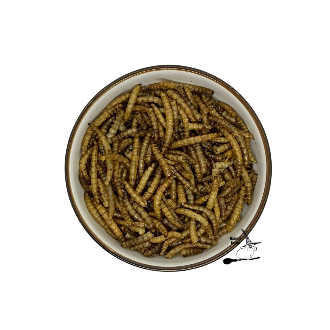 Dried mealworms