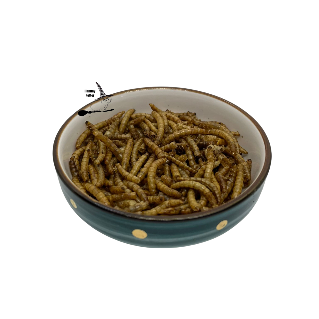 Dried mealworms