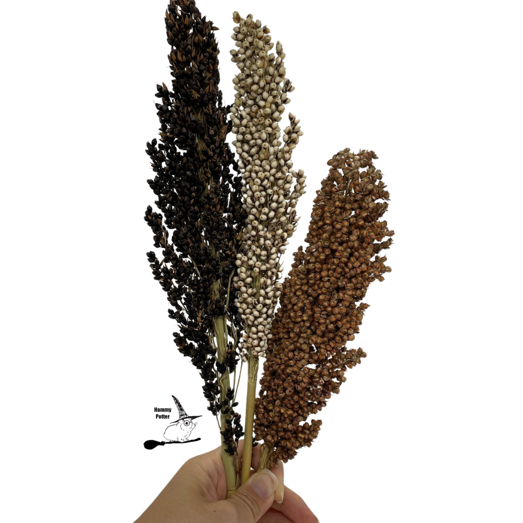 German sorghum sprays