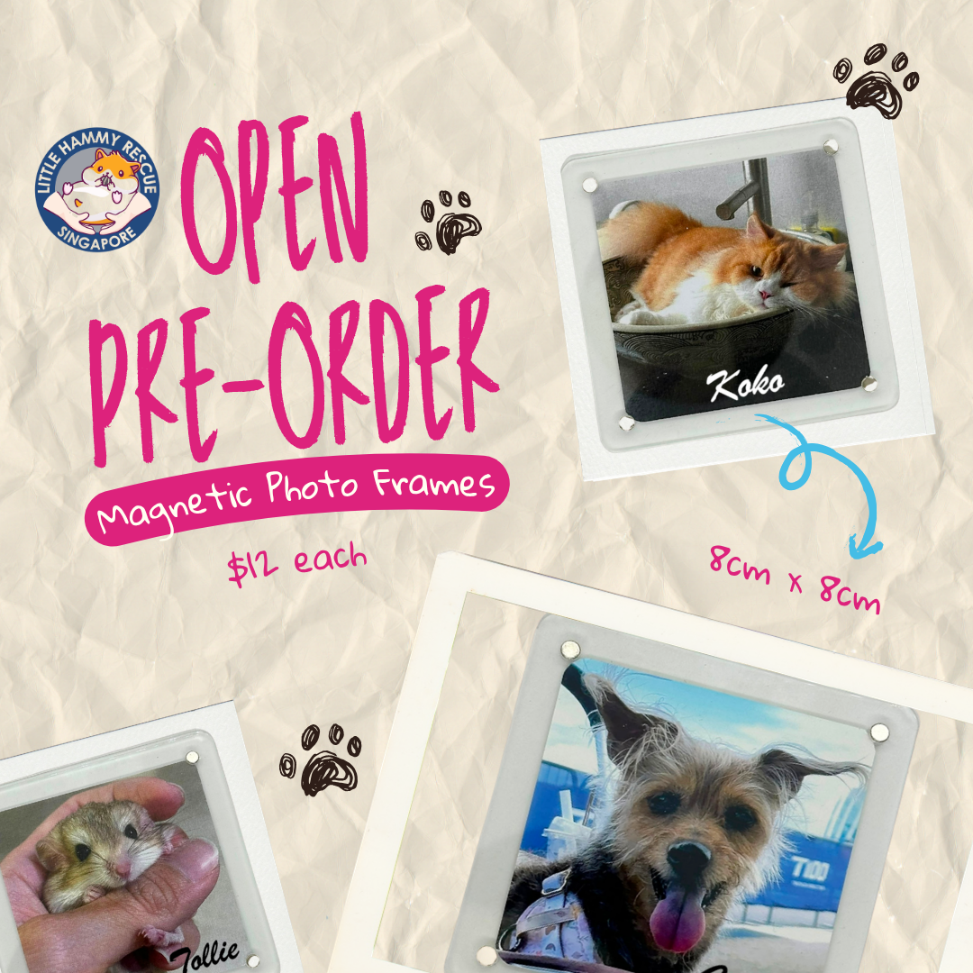 [LHRS Pre-order] Magnetic Photo Frames
