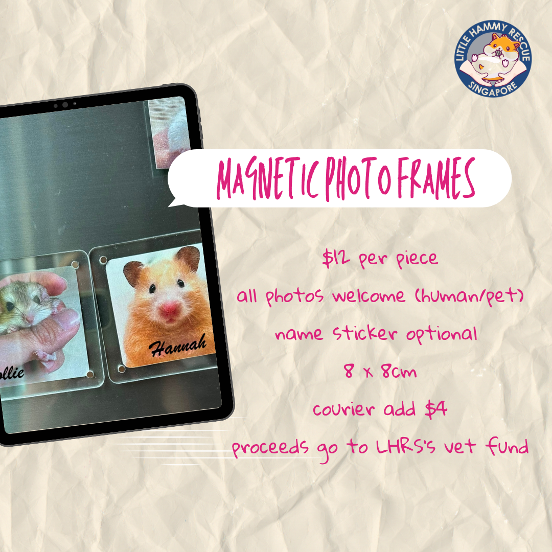 [LHRS Pre-order] Magnetic Photo Frames