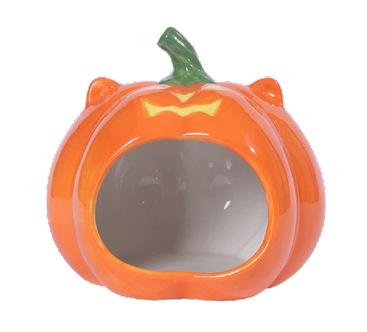 Ceramic pumpkin hideout