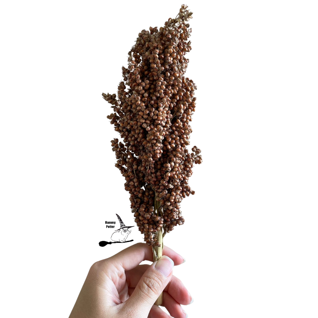 German sorghum sprays