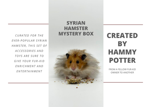 Hammy Potter mystery box for hamsters and other small pets