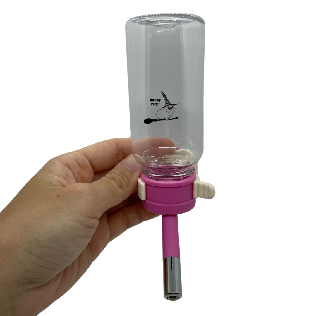 Customized water bottle with acrylic bottle holder
