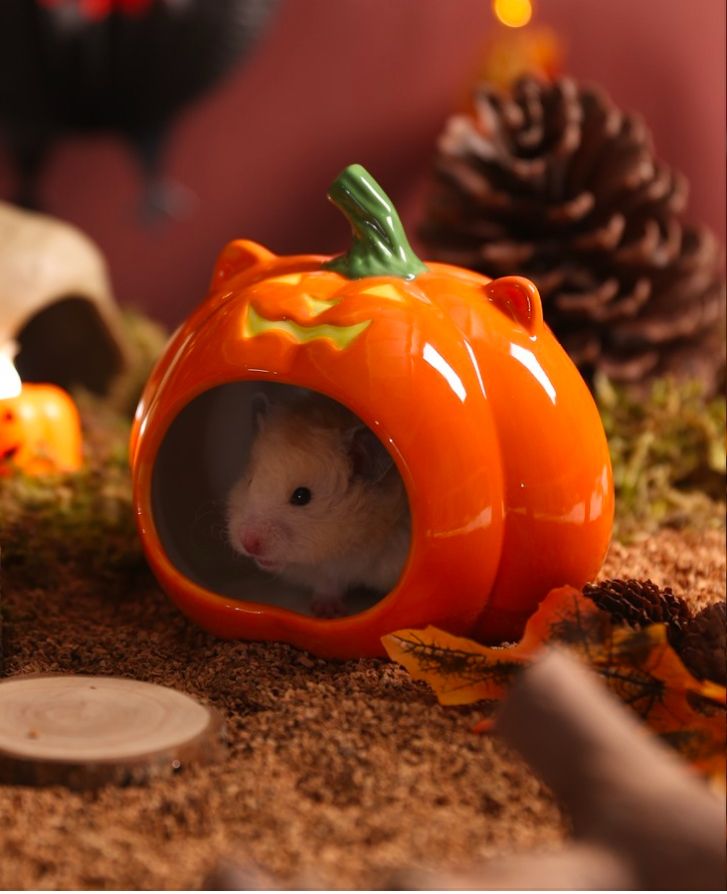 Ceramic pumpkin hideout