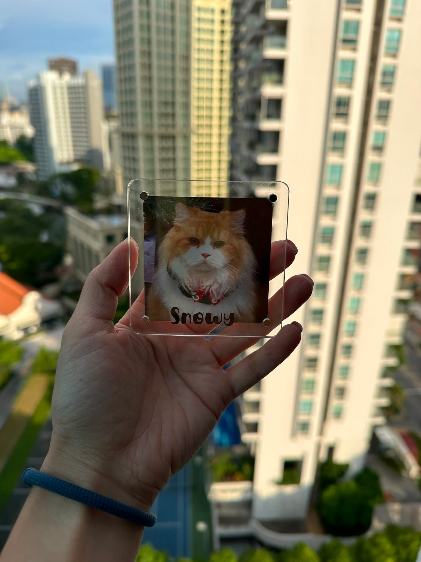 [LHRS Pre-order] Magnetic Photo Frames