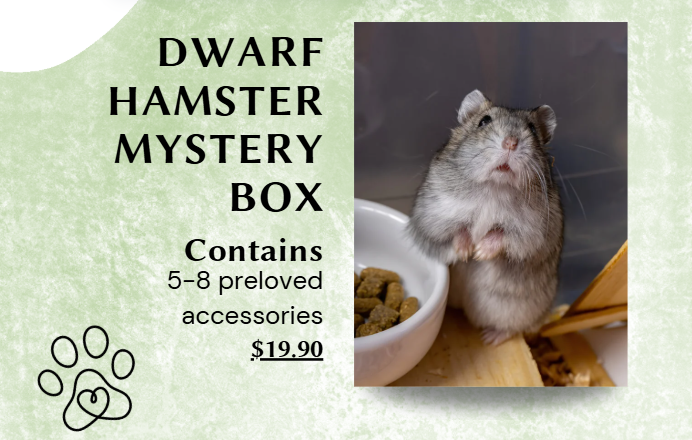 LHRS Hamster Accessory Mystery Box (100% proceeds go to LHRS)