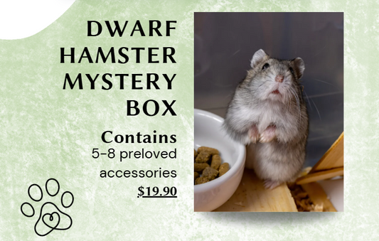 LHRS Hamster Accessory Mystery Box (100% proceeds go to LHRS)
