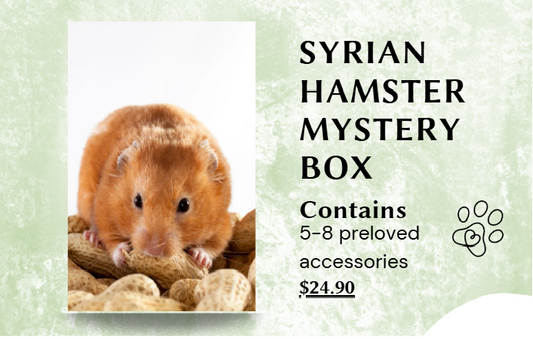 LHRS Hamster Accessory Mystery Box (100% proceeds go to LHRS)